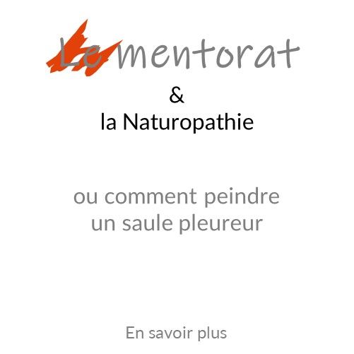 Comment peindre un saule pleureur